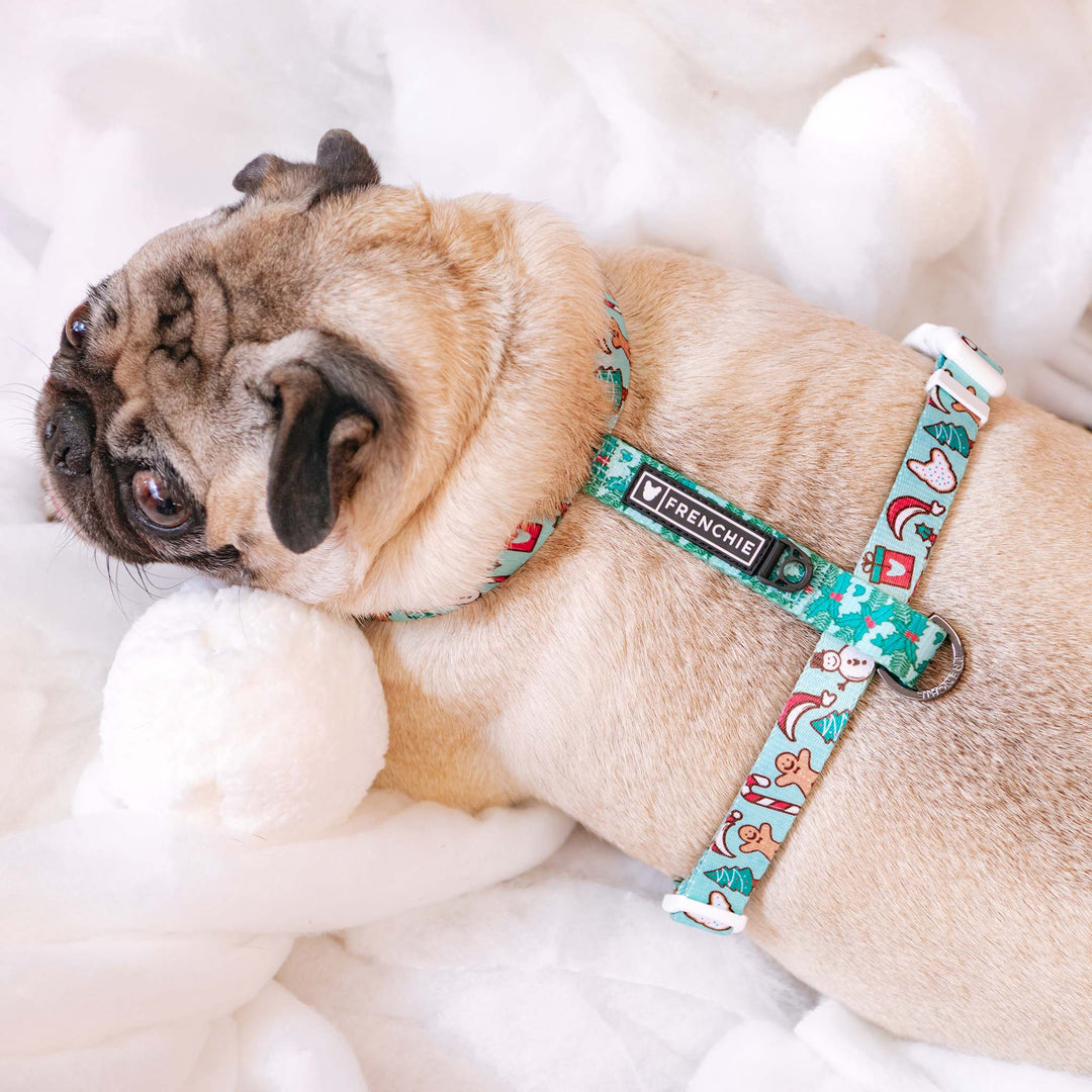 Frenchie Strap Harness - Mistletoe