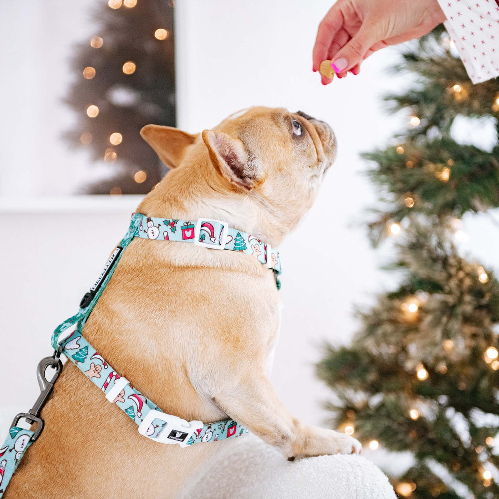 Frenchie Strap Harness - Mistletoe