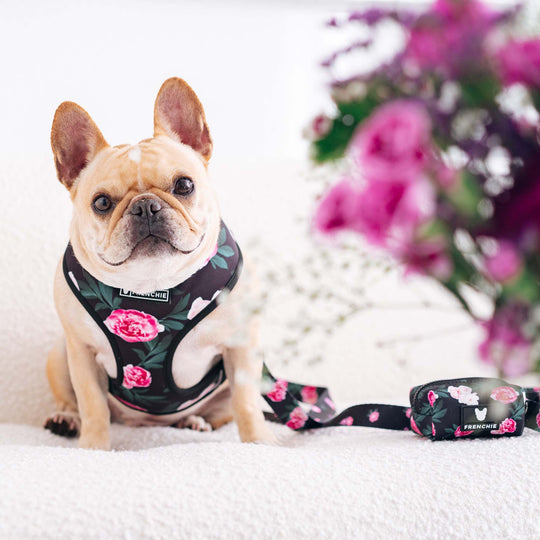 Frenchie Duo Reversible Harness - Moody Floral