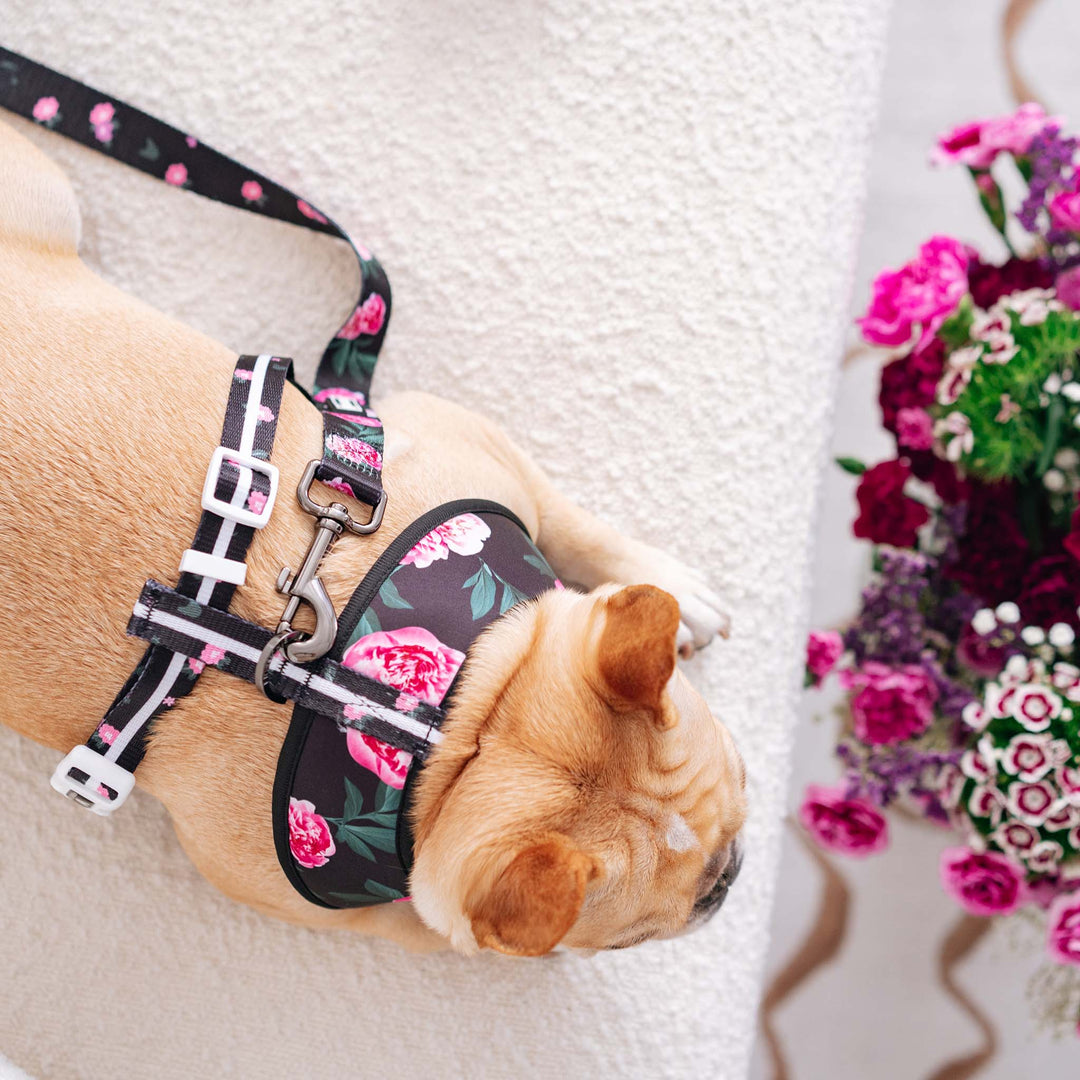 Frenchie Comfort Leash - Moody Floral