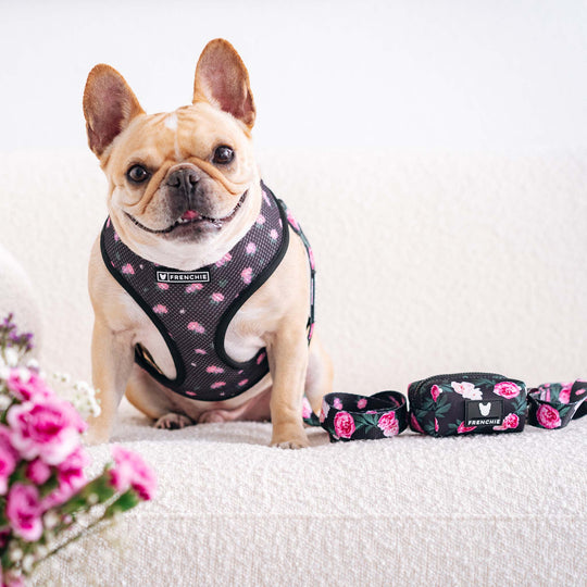 Frenchie Poo Bag Holder - Moody Floral