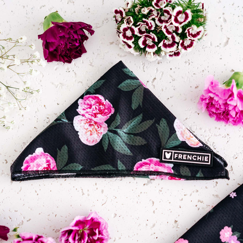 Frenchie Cooling Bandana - Moody Floral