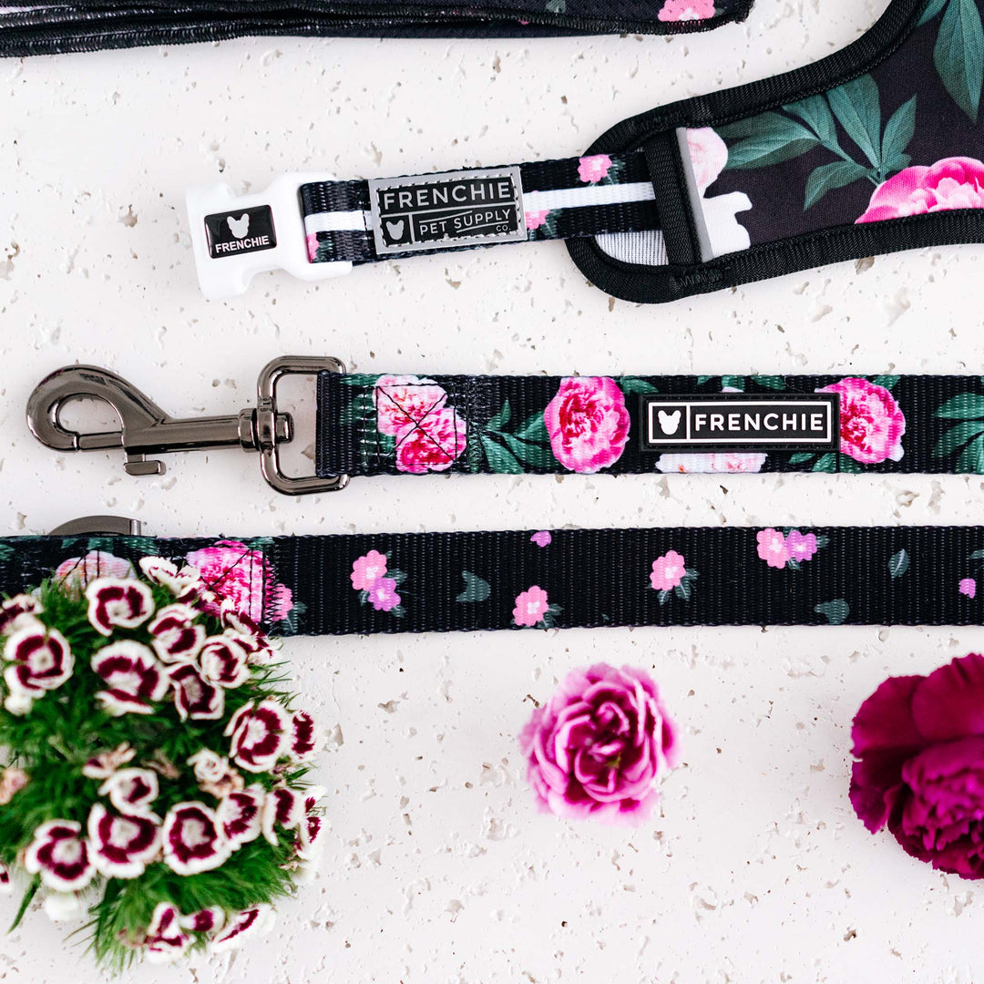 Frenchie Comfort Leash - Moody Floral