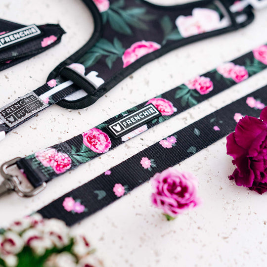 Frenchie Comfort Leash - Moody Floral