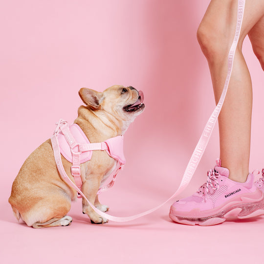 Frenchie Comfort Leash - Pink Bubble Gum
