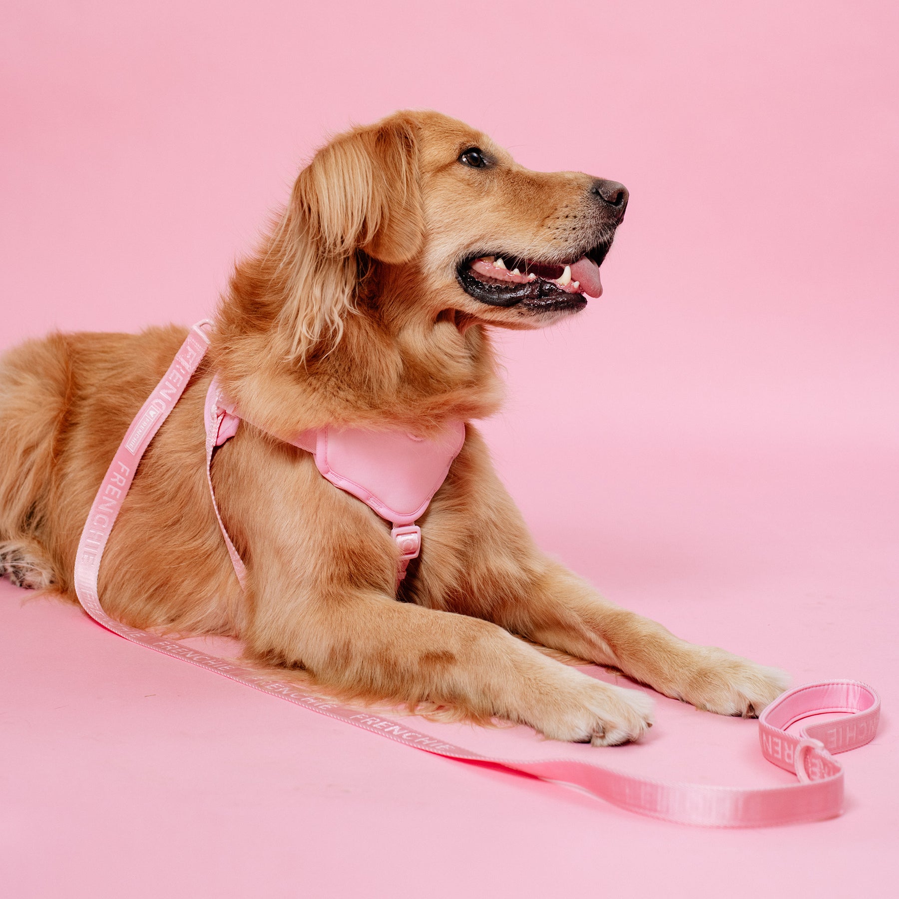 Bubblegum Pink Choke Free Dog Harness Size Medium 