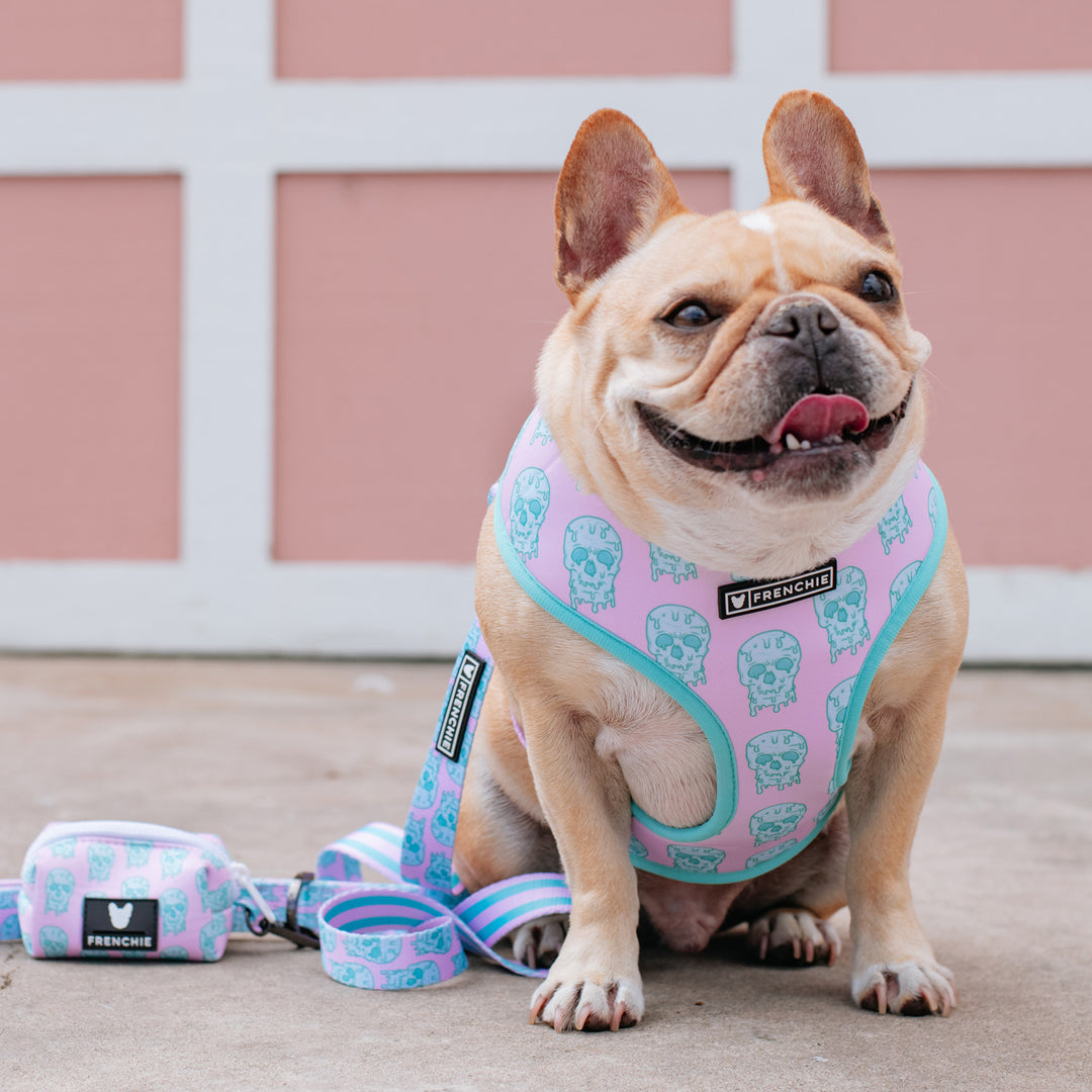 Frenchie Duo Reversible Harness - Pink Drip Skull