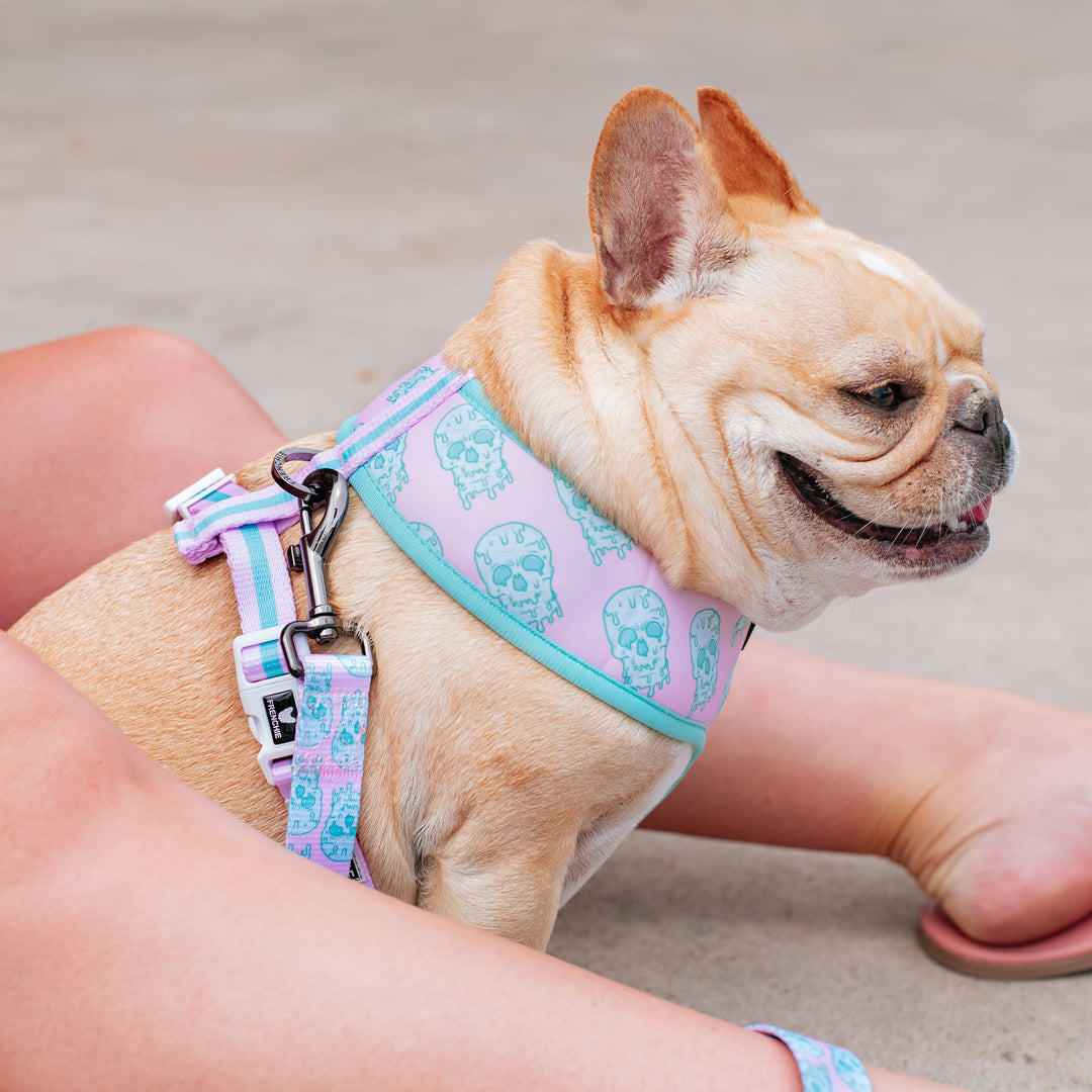 Frenchie Duo Reversible Harness - Pink Drip Skull