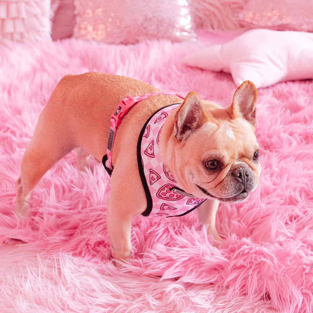Frenchie Harnesses  Pink Print Duo Reversible Harness - Dog