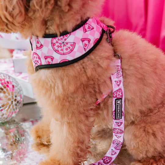 Frenchie Duo Reversible Harness - Pink Pizza