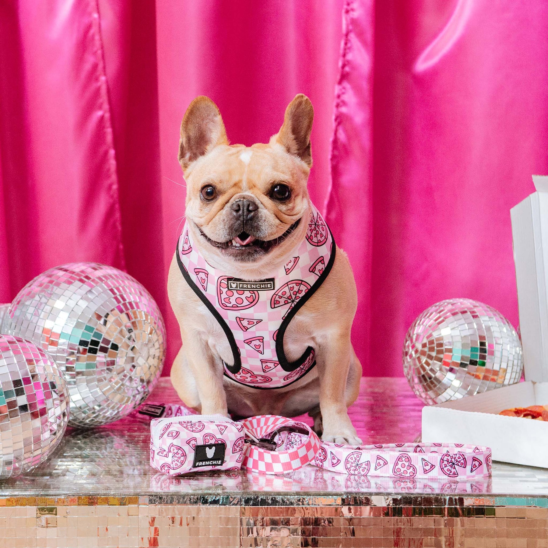 Frenchie Poo Bag Holder- Pink Bad to the Bone – Frenchie Bulldog
