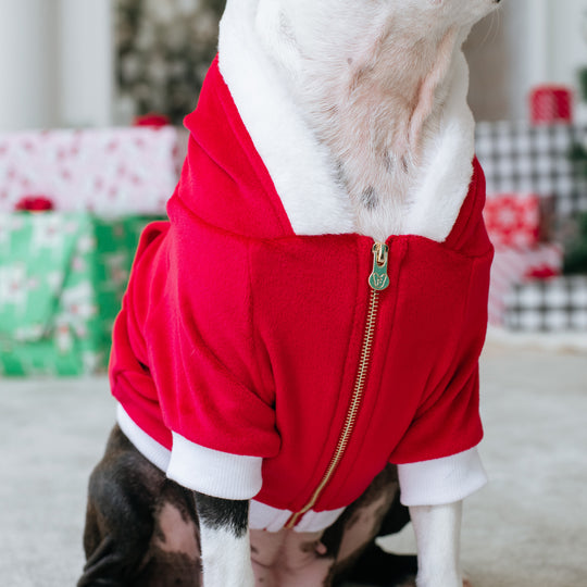 Frenchie Dog Hoodie - Red Santa