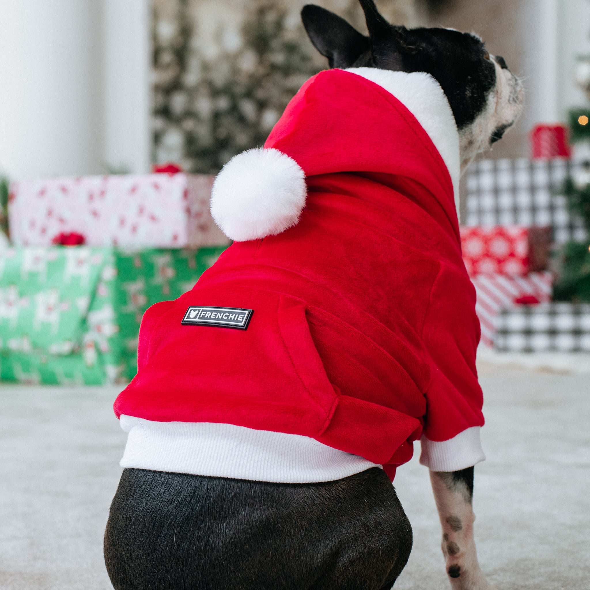 French bulldog christmas on sale jumper for dogs