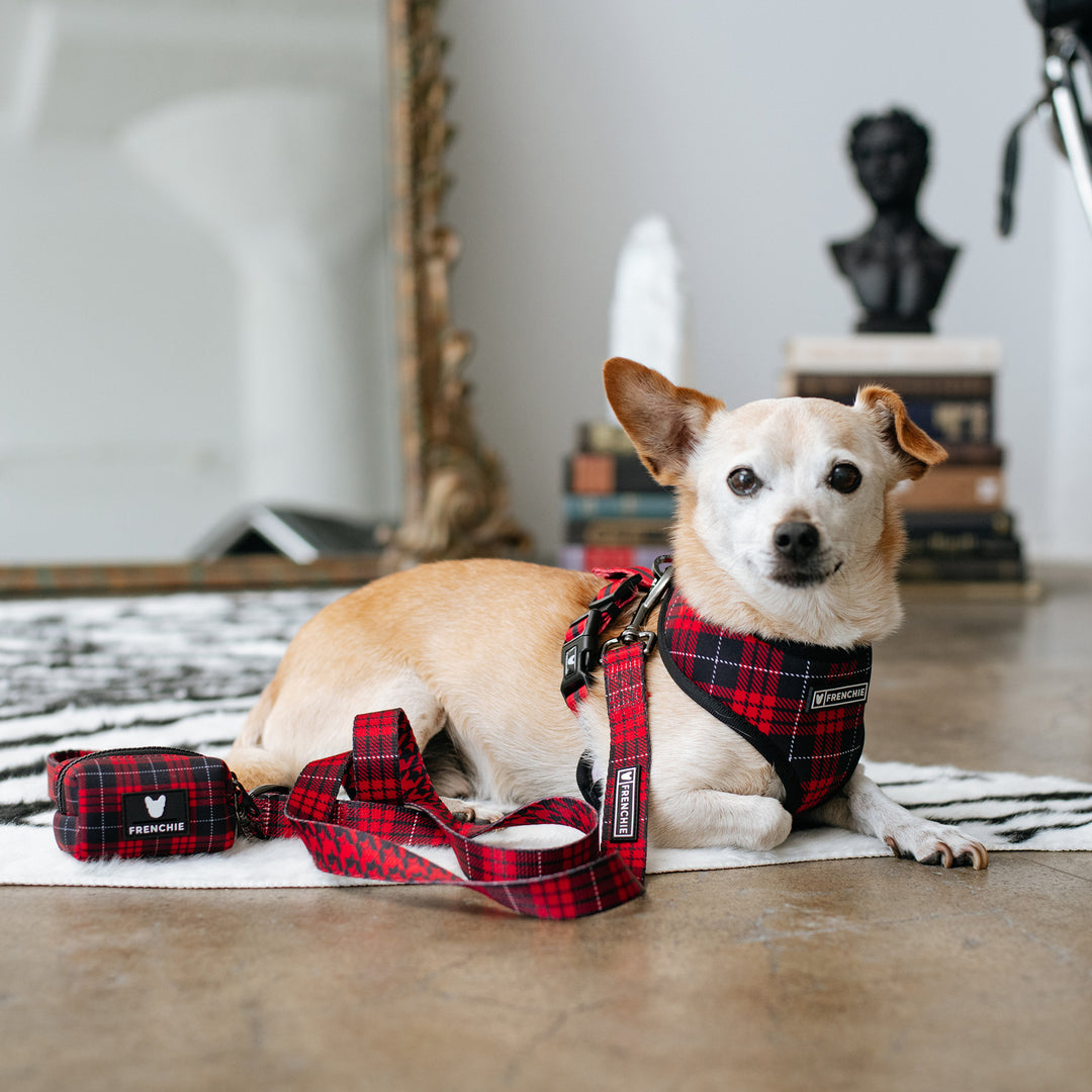 Frenchie Comfort Leash - Red Tartan