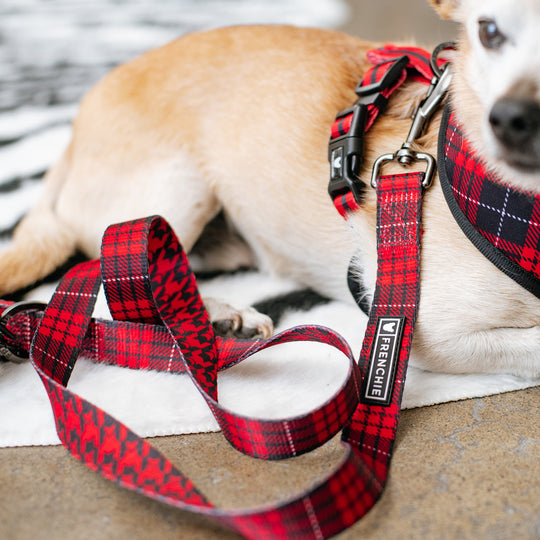 Frenchie Comfort Leash - Red Tartan