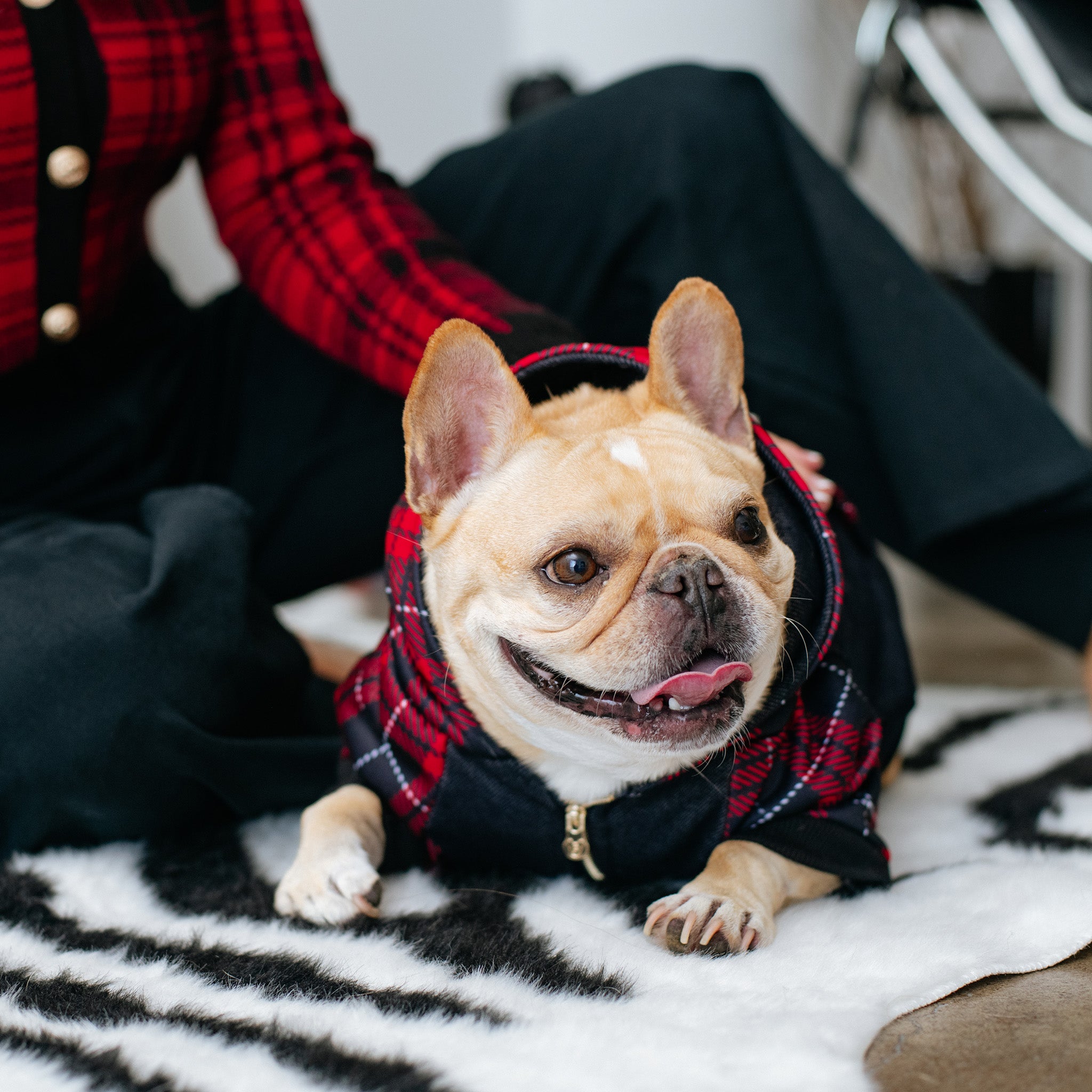 Supreme french clearance bulldog hoodie