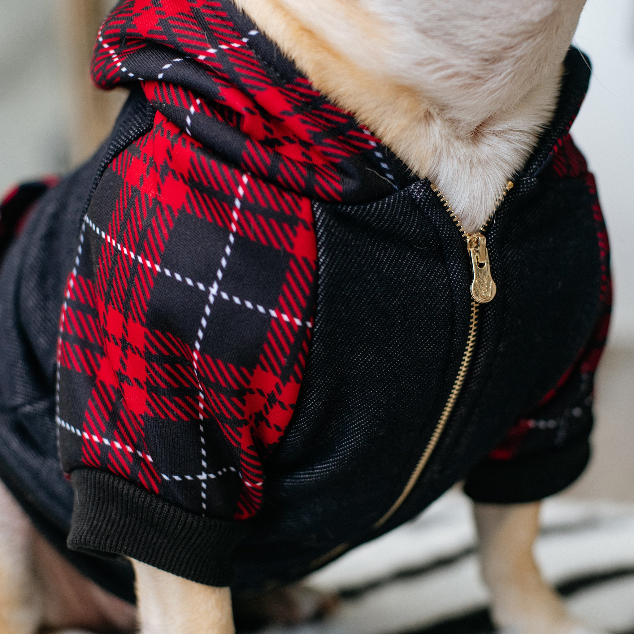 Plaid dog outlet hoodie