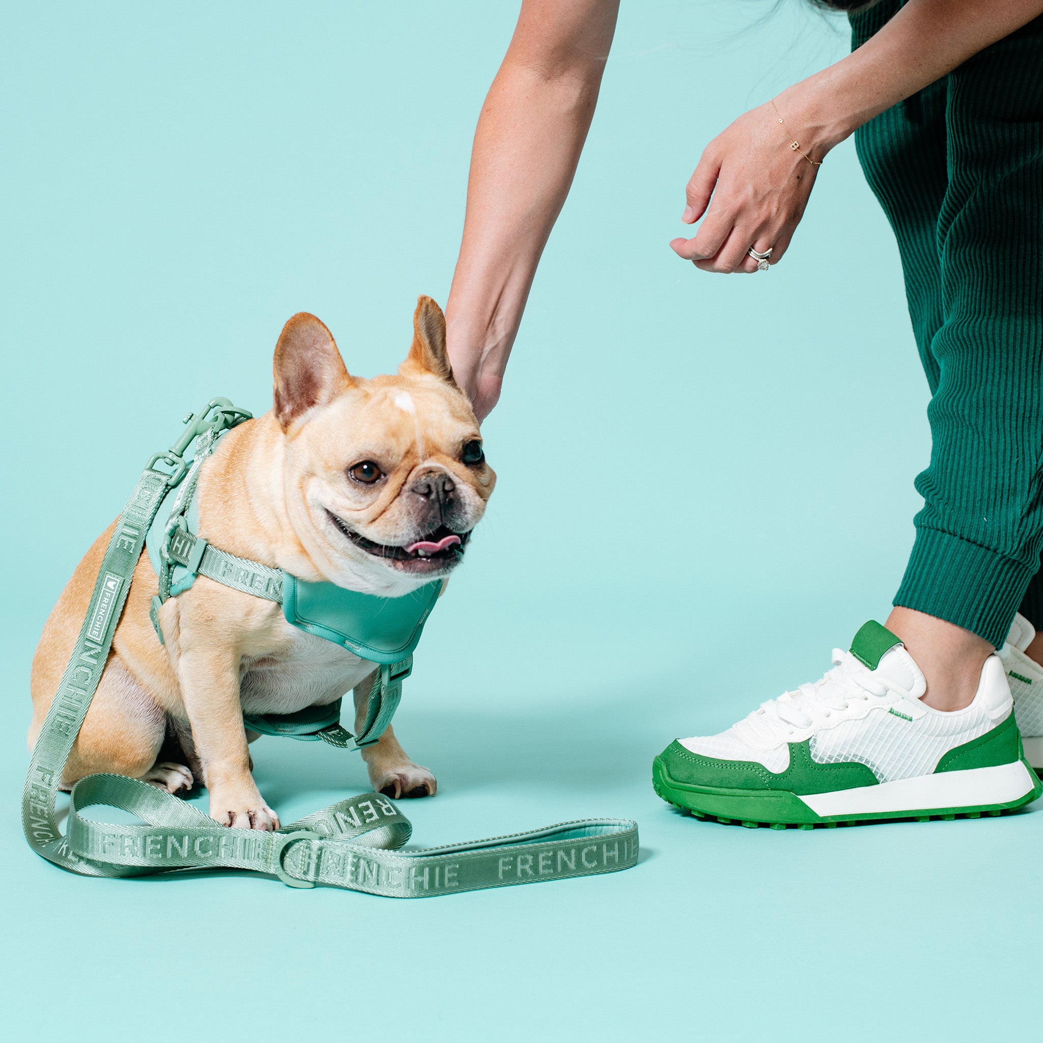 Adidas french clearance bulldog shoes