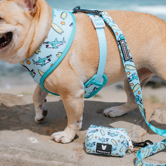 Frenchie Comfort Leash - Sharky