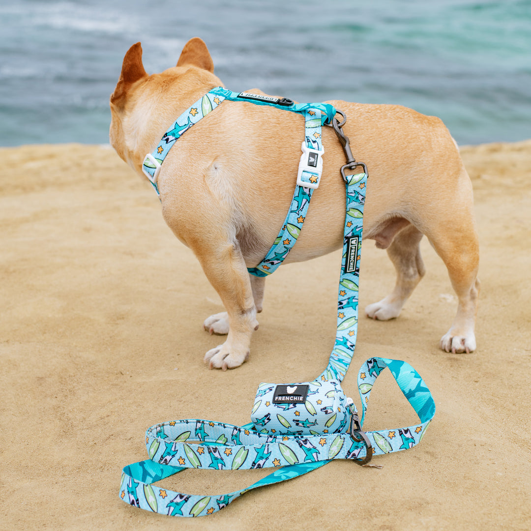 Frenchie Comfort Leash - Sharky