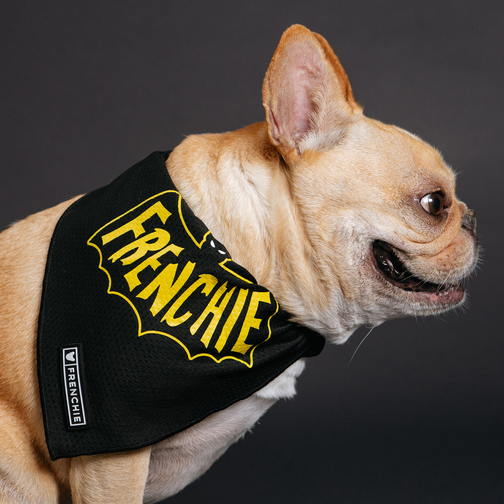 Frenchie Cooling Bandana - Super Pig (Yellow)