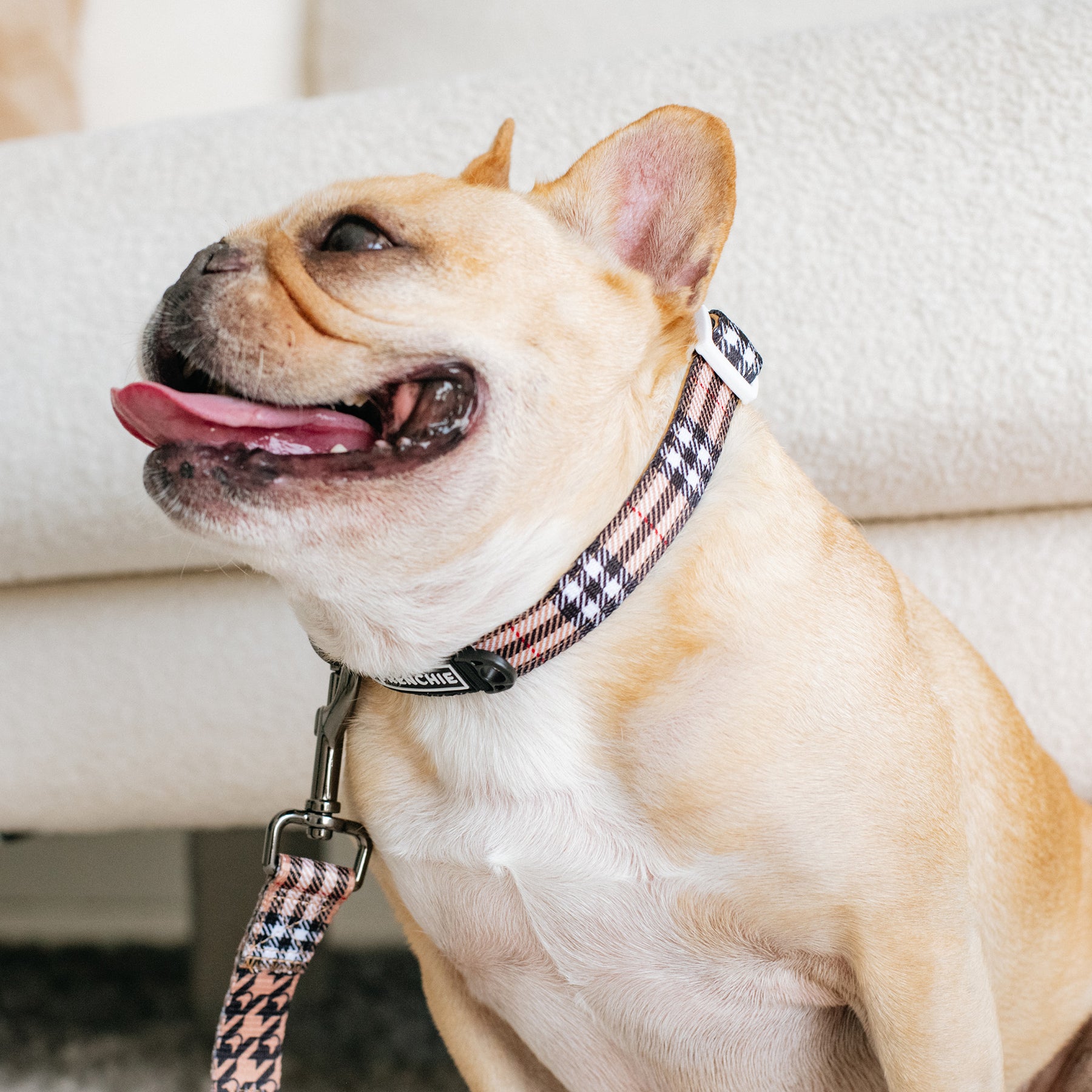 Tan Plaid Dog Leash