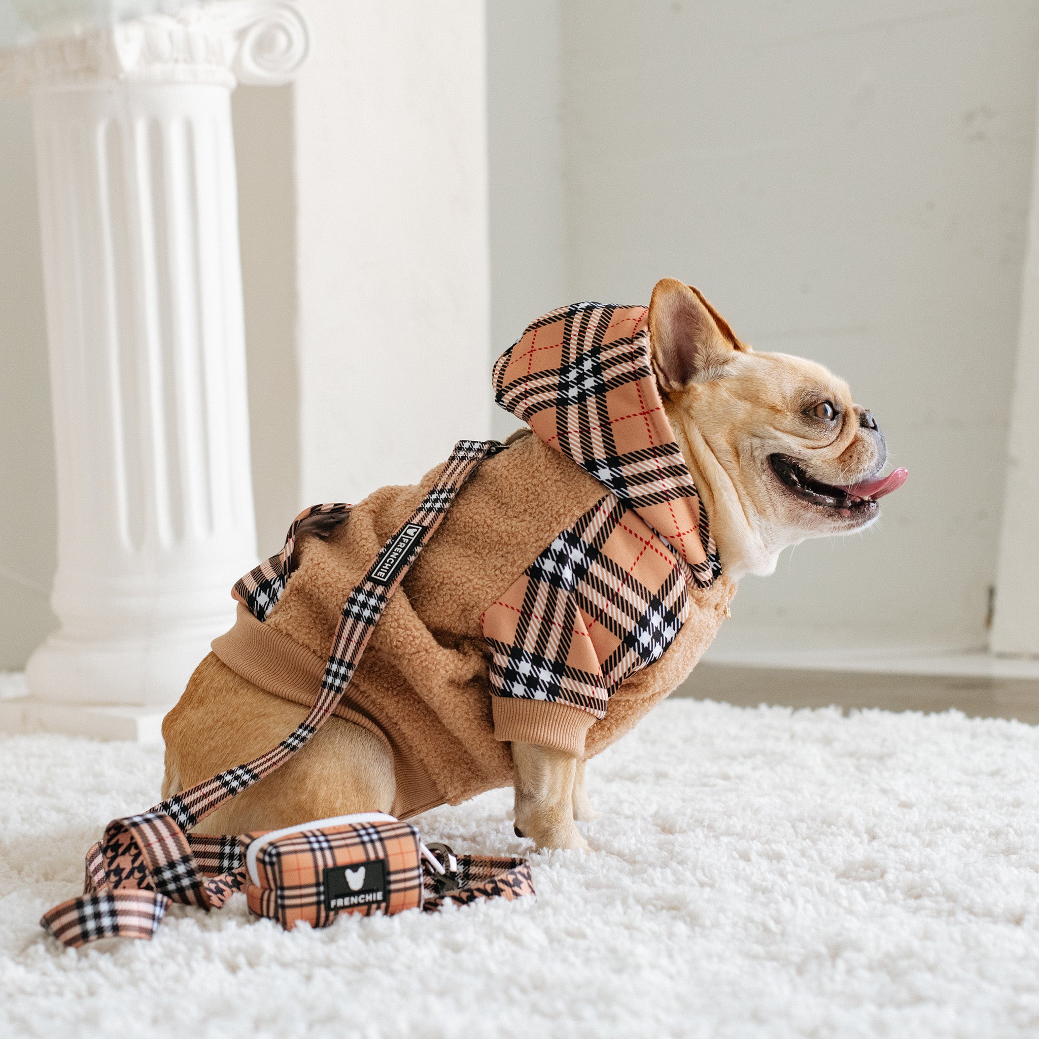Frenchie hoodie hotsell