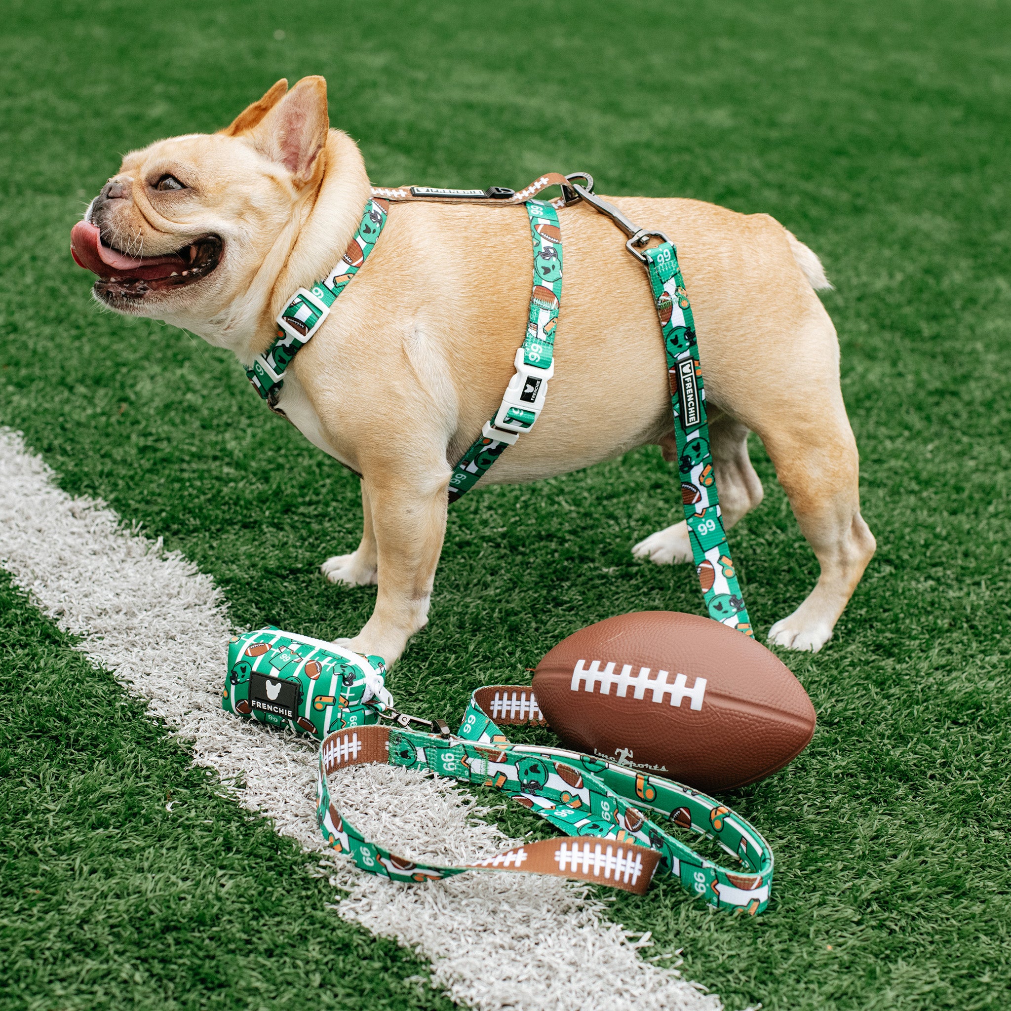 Football Sports Frenchie - French Bulldog Bandana – frenchie Shop