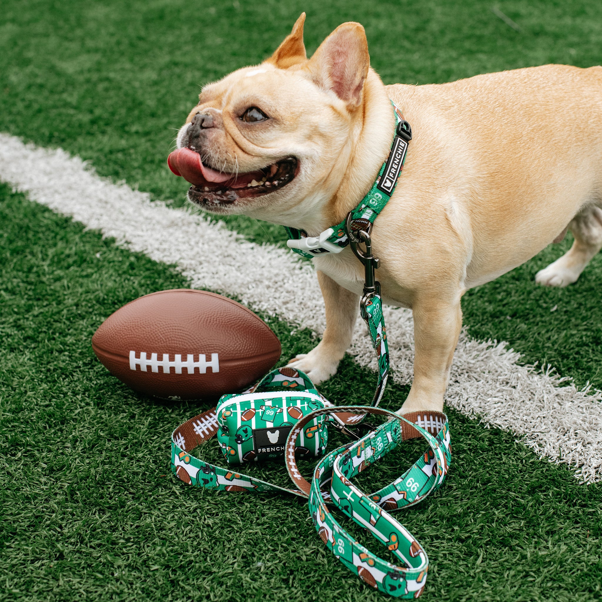 Football Sports Frenchie - French Bulldog Bandana – frenchie Shop