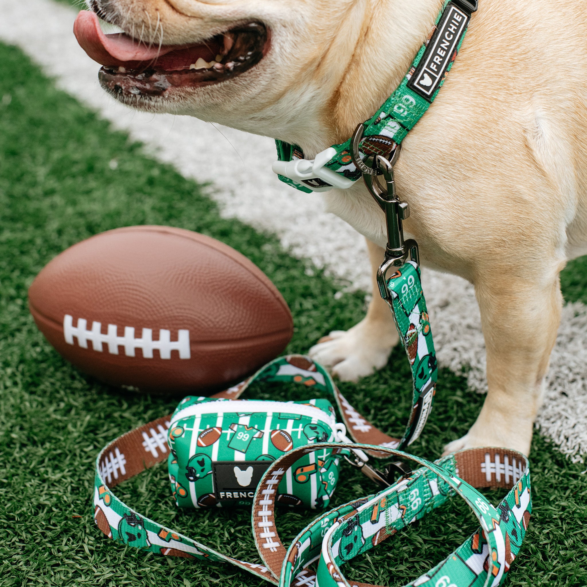 Football Dog Goes For A Touchdown! 