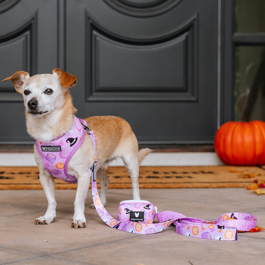 Frenchie Poo Bag Holder - Witches Brew (Purple)