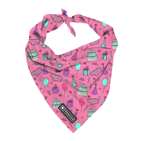 Frenchie Cooling Bandana - Birthday Queen