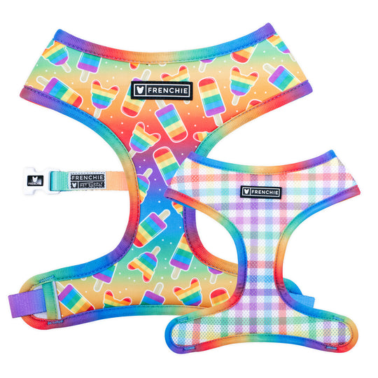 Frenchie Duo Reversible Harness - Rainbow Pop