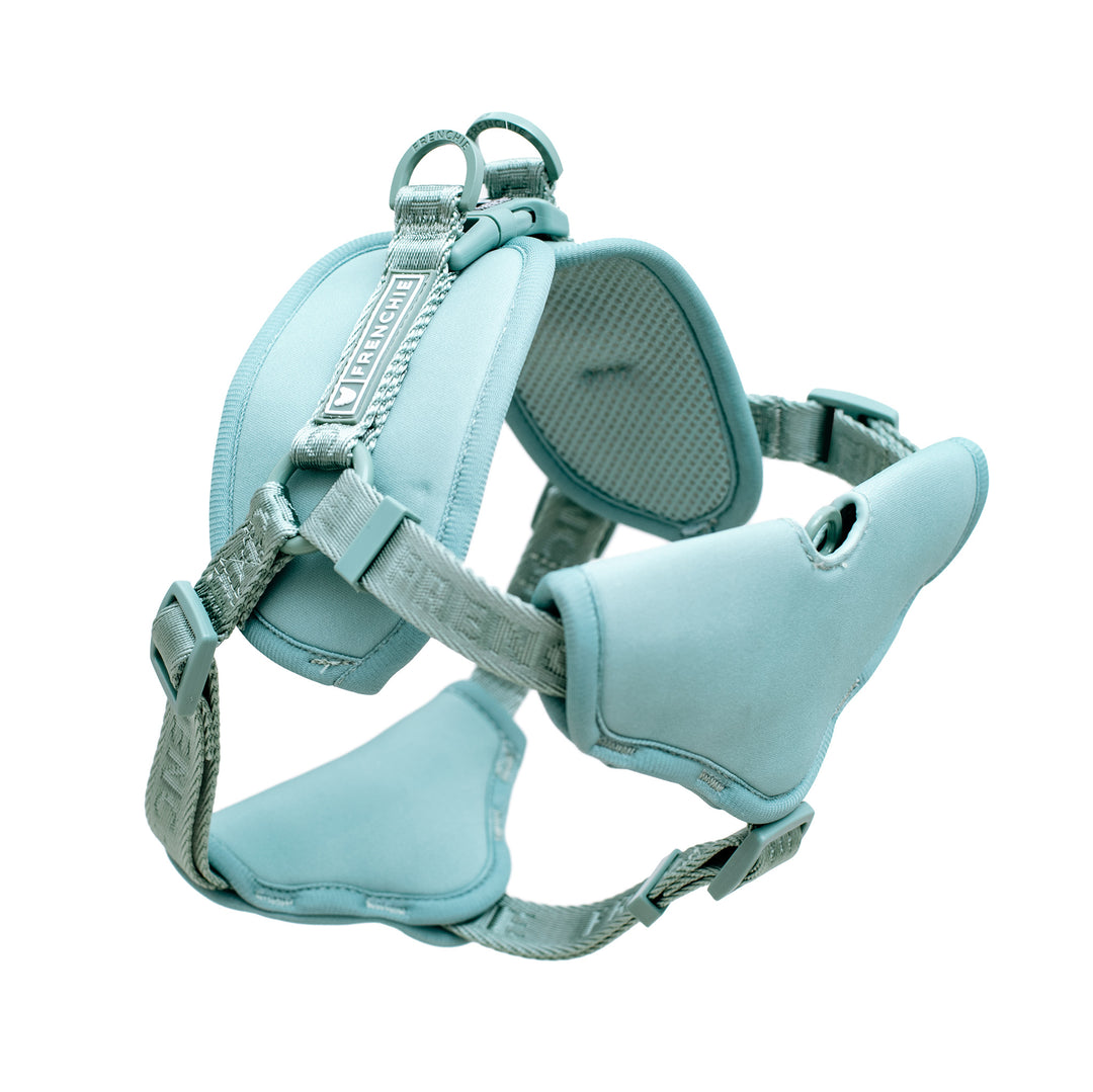 Frenchie Front Pull Harness - Sage