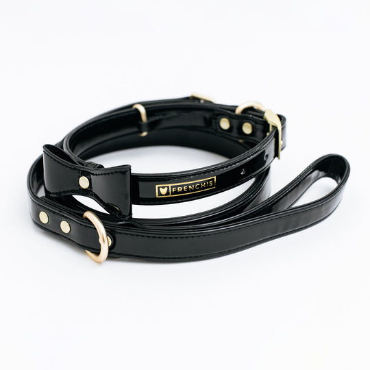 Frenchie Vegan Leather Collar, Leash, & Bow Tie Set