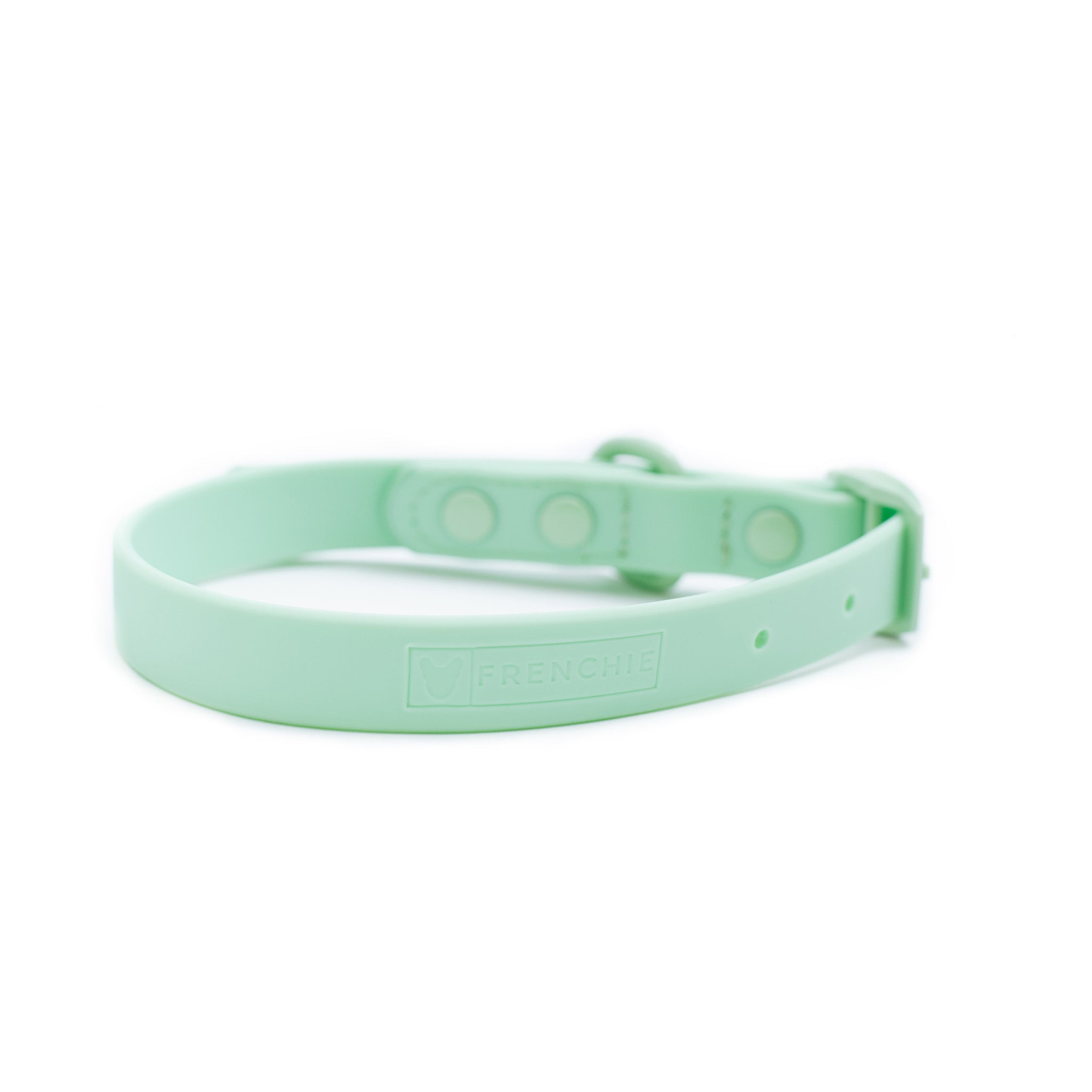 Frenchie Waterproof Collar Mint Green Frenchie Bulldog