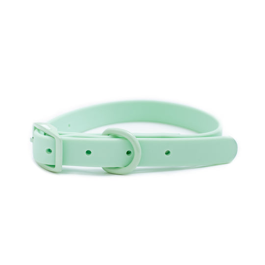 Frenchie Waterproof Collar - Mint Green